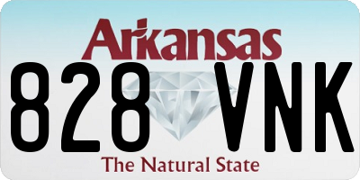 AR license plate 828VNK