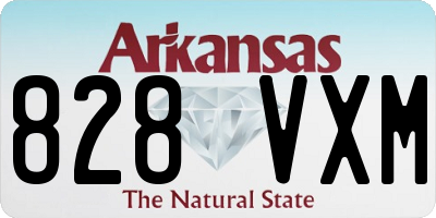 AR license plate 828VXM