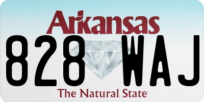 AR license plate 828WAJ