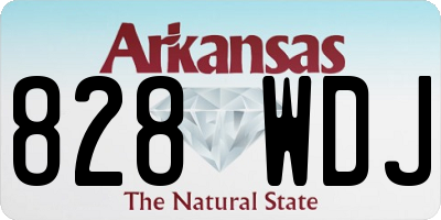 AR license plate 828WDJ