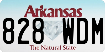AR license plate 828WDM