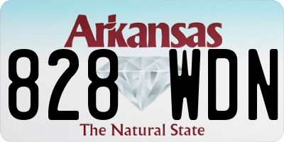 AR license plate 828WDN