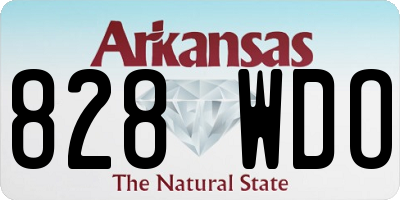 AR license plate 828WDO
