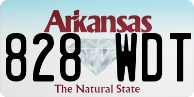 AR license plate 828WDT