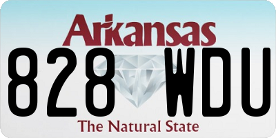 AR license plate 828WDU