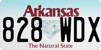 AR license plate 828WDX