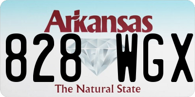 AR license plate 828WGX