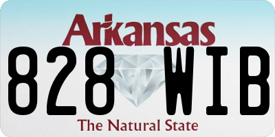 AR license plate 828WIB
