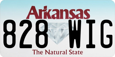AR license plate 828WIG
