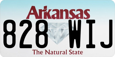 AR license plate 828WIJ