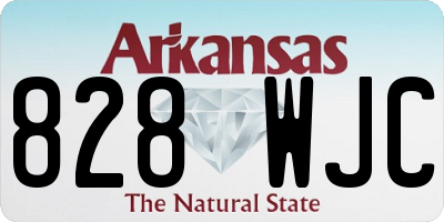 AR license plate 828WJC