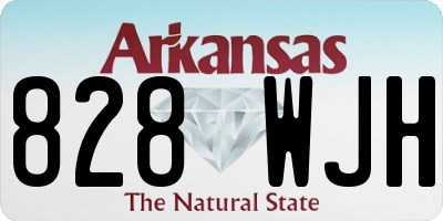 AR license plate 828WJH