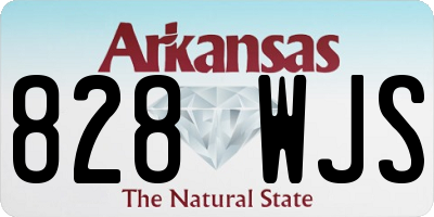 AR license plate 828WJS