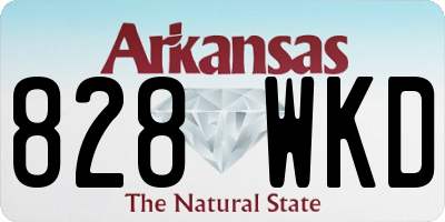 AR license plate 828WKD