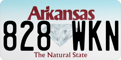 AR license plate 828WKN