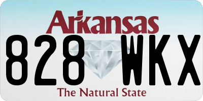 AR license plate 828WKX