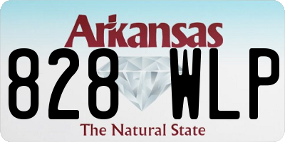 AR license plate 828WLP
