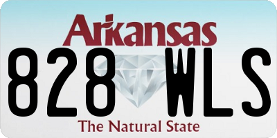 AR license plate 828WLS