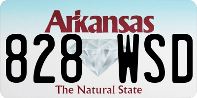AR license plate 828WSD