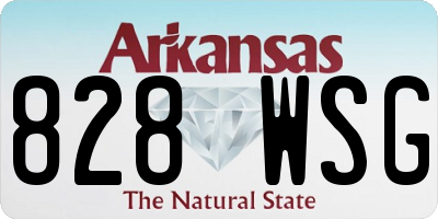 AR license plate 828WSG
