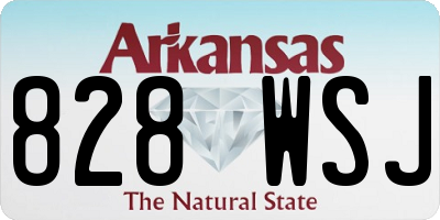 AR license plate 828WSJ