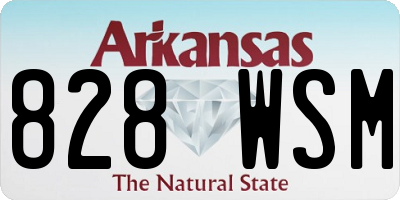 AR license plate 828WSM