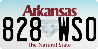 AR license plate 828WSO