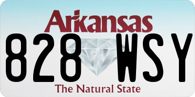 AR license plate 828WSY