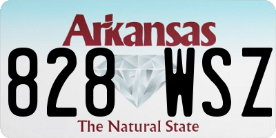 AR license plate 828WSZ