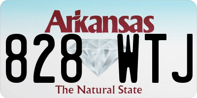 AR license plate 828WTJ