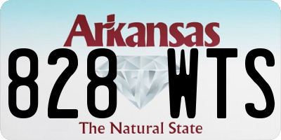 AR license plate 828WTS
