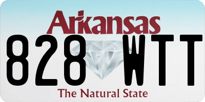 AR license plate 828WTT