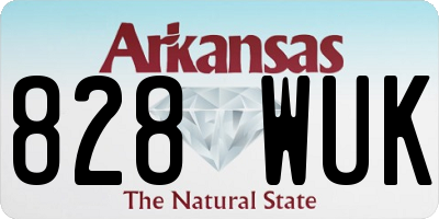 AR license plate 828WUK