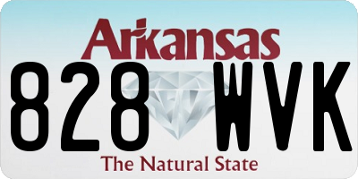 AR license plate 828WVK