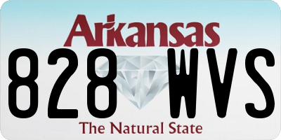 AR license plate 828WVS