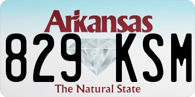 AR license plate 829KSM