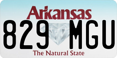 AR license plate 829MGU