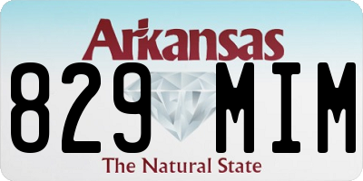 AR license plate 829MIM
