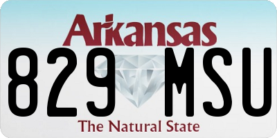 AR license plate 829MSU