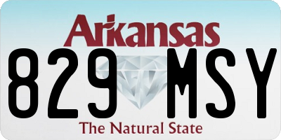 AR license plate 829MSY