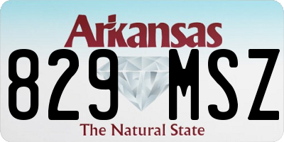 AR license plate 829MSZ