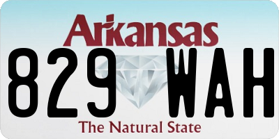 AR license plate 829WAH