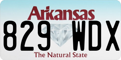 AR license plate 829WDX
