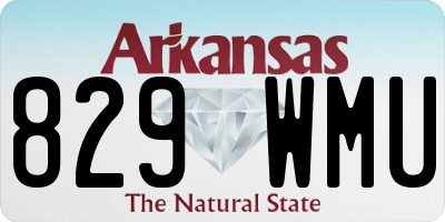 AR license plate 829WMU