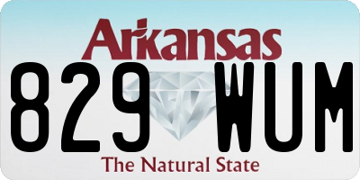 AR license plate 829WUM