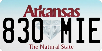 AR license plate 830MIE