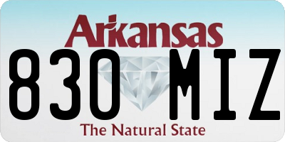 AR license plate 830MIZ