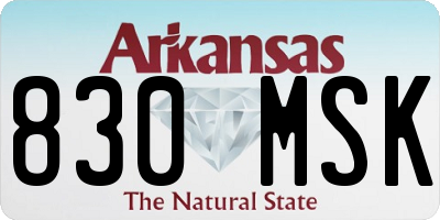 AR license plate 830MSK