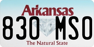 AR license plate 830MSO