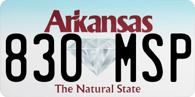 AR license plate 830MSP